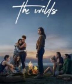 荒野 第一季 The Wilds Season 1            (2020)
