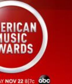 第48届全美音乐大奖颁奖典礼 American Music Awards 2020            (2020)