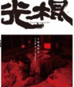 光棍            (2011)