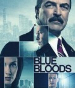 警察世家 第十一季 Blue Bloods Season 11            (2020)