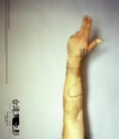 台湾黑电影 台灣黑電影            (2005)