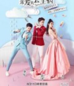 亲爱的，公主病            (2016)
