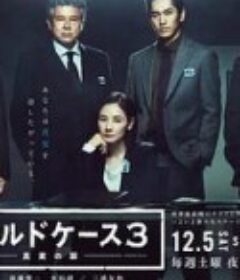 铁证悬案：真实之门 第三季 コールドケース３ ～真実の扉～            (2020)