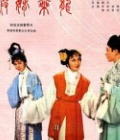 假婿乘龙            (1964)