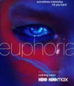 亢奋 特别篇 Euphoria Special            (2020)