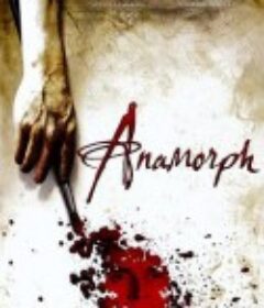 失真的画 Anamorph            (2007)