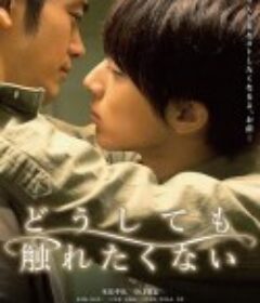 无法触碰的爱 どうしても触れたくない            (2014)