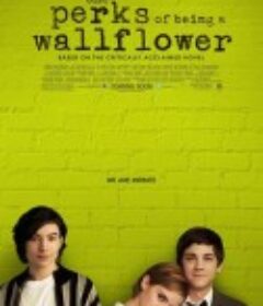 壁花少年 The Perks of Being a Wallflower            (2012)