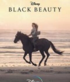 黑神驹 Black Beauty            (2020)