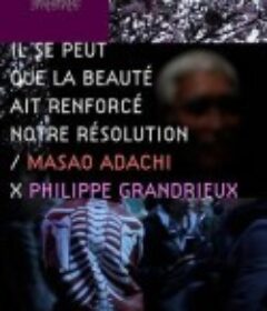 老左正传：足立正生起革命 Il se peut que la beauté ait renforcé notre résolution - Masao Adachi            (2011)