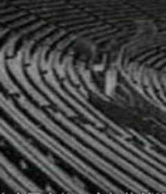 共产主义与足球 Communism and Football            (2006)