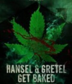 黑森林：糖果屋和420女巫 Hansel &amp; Gretel Get Baked            (2013)