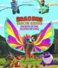 龙族：救援骑士：赫斯佳乐佳节 Dragons: Rescue Riders: Huttsgalor Holiday            (2020)