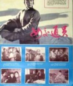 女交通员            (1978)