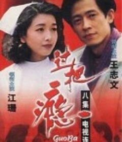 过把瘾            (1994)