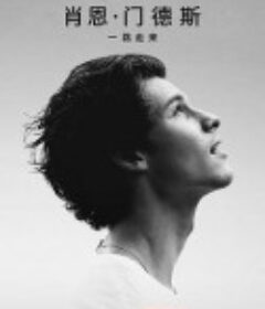 肖恩·门德斯：一路走来 Shawn Mendes: In Wonder            (2020)