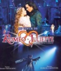罗密欧与朱丽叶 Roméo &amp; Juliette: De la haine à l'amour            (2002)