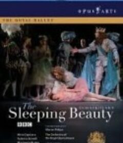 睡美人 The Sleeping Beauty            (2007)