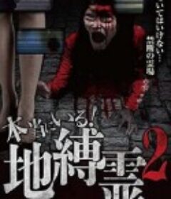 本当にいる！地縛霊２ 呪われた現場の投稿映像集            (2016)