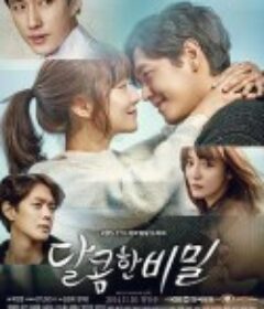 甜蜜的秘密 달콤한 비밀            (2014)