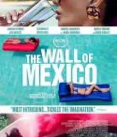墨西哥围墙 The Wall of Mexico            (2019)