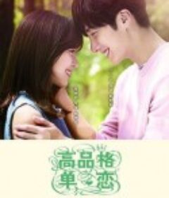 高品格单恋            (2015)