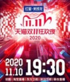 2020天猫双十一狂欢夜            (2020)