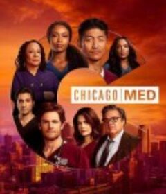 芝加哥急救 第六季 Chicago Med Season 6            (2020)