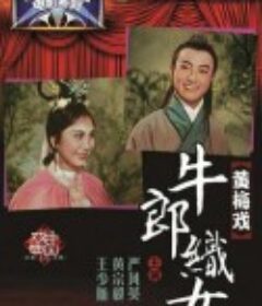 牛郎织女            (1963)
