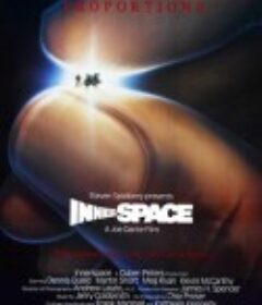 惊异大奇航 Innerspace            (1987)