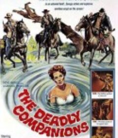 铁汉与寡妇 The Deadly Companions            (1961)