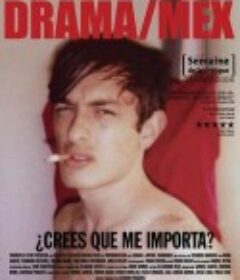 复合与出走 Drama/Mex            (2006)