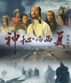 神秘的西夏            (2015)