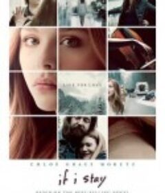 如果我留下 If I Stay            (2014)