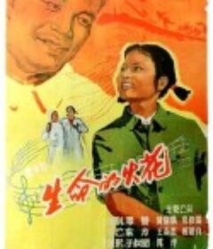生命的火花            (1962)