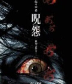 咒怨：终结的开始 呪怨 終わりの始まり            (2014)