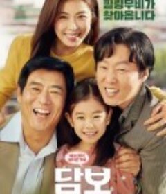 担保 담보            (2020)