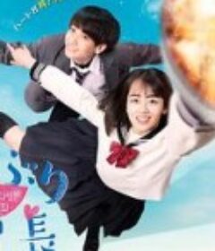 丼物委员长 どんぶり委員長            (2020)