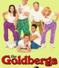 戈德堡一家 第八季 The Goldbergs Season 8            (2020)
