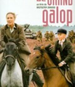 狂奔岁月 Cwal            (1996)