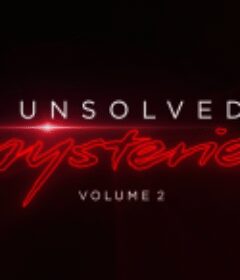 未解之谜 第二季 Unsolved Mysteries Season 2            (2020)