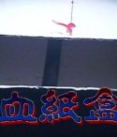 香港奇案血纸盒 香港奇案血紙盒            (1992)