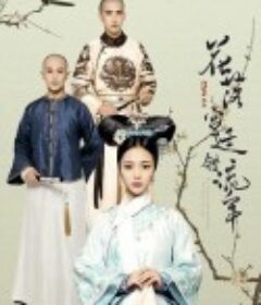 花落宫廷错流年            (2017)