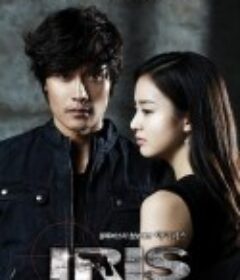 IRIS电影版 아이리스 : 더 무비            (2010)