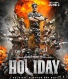 军人没有假期 Holiday            (2014)