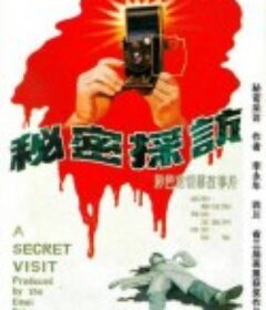 秘密采访            (1989)