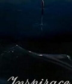 灵感 Inspirace            (1948)