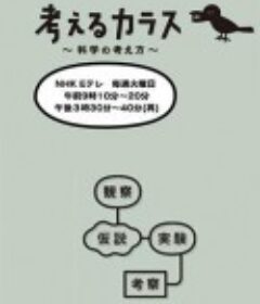 像乌鸦一样思考 考えるカラス ～科学の考え方～            (2013)