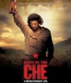 切·格瓦拉传：游击队 Che: Part Two            (2008)