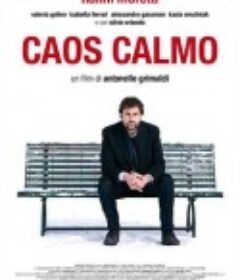 平静的躁动 Caos calmo            (2008)
